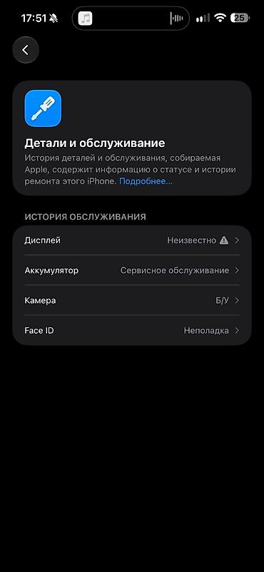13 plus: IPhone 15 Pro Max, Б/у, 256 ГБ, Серебристый, Защитное стекло, Чехол, 79 % — 9