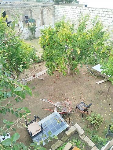 cepis satisi: Şaganda 124 saylı məktəbin arxasin da 3sot kvadrat torpaq sahəsi — 2