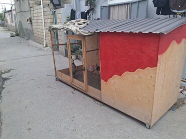 купить домик для кота: Salam . Qefes ve tovuz quwular satilir. Quwlar: Fere ve xoruz. 6