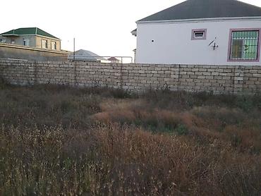 naxçıvan: 4 sot, Kənd təsərrüfatı, Mülkiyyətçi, Kupça (Çıxarış) — 4