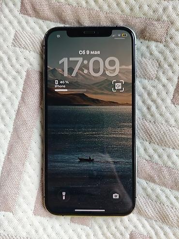 Apple iPhone: IPhone 12 Pro, 256 ГБ, Pacific Blue — 2