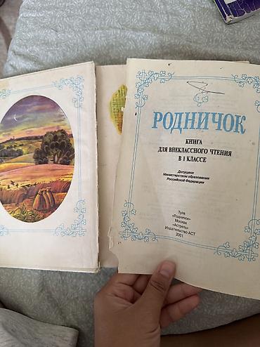 Детские книги: Родничок. Книга для внеклассного чтения. 1 класс Первая страница — 2