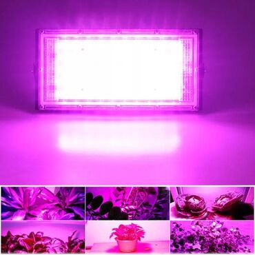 Baštenska rasveta: Led Sijalica Za Rast Bilja Full Spectrum Led Grow 30w 220v — 18