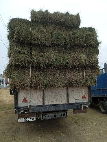 А/ч жаныбарлары үчүн тоюттар: Беде чоп таза — 6