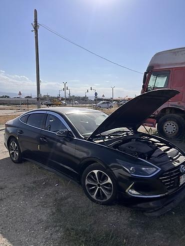 кузовные запчасти на корейские авто: Hyundai Sonata: 2019 г., 2 л, Автомат, Газ, Седан — 4