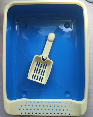 Pişiklər: Erkək, Dişi -da lalafo.az — 14 Pişiklər: Erkək, Dişi — 14