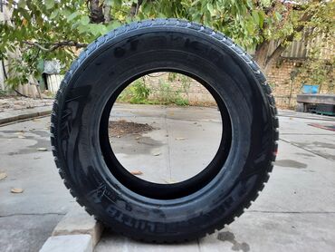 r16 зимние: Шина Nokian 215/65 R16