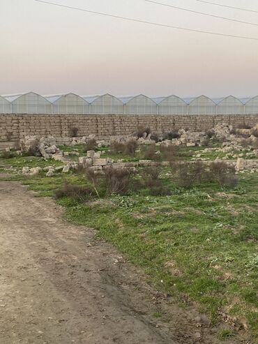 Torpaq sahələrinin satışı: 2 sot, Tikinti, Mülkiyyətçi, Bələdiyyə, Kupça (Çıxarış), Müqavilə