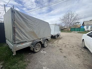 обмен транспорт: Грузовые перевозки на микроавтобусах Mercedes Sprinter Ак-Суу -Бишкек — 5