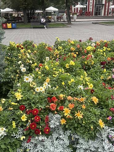 полировачный апарат: Требуется дворник — 1