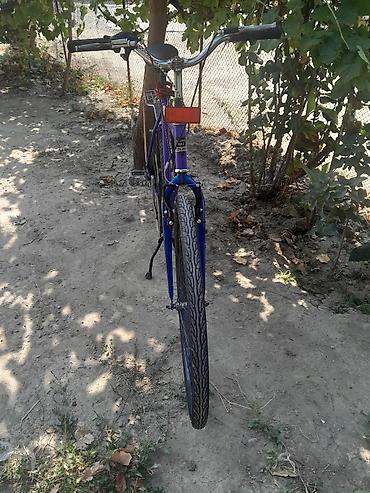 isma velosipedleri: Vesbet kamir patska teze alif qomsam hec bir prablem yoxdu skrosnodu — 4