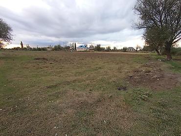 sabirabadda: 35 sot, Tikinti, Mülkiyyətçi, Kupça (Çıxarış) — 5