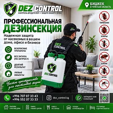 Дезинфекция, дезинсекция, | Тараканы, | Квартиры at lalafo.kg Дезинфекция, дезинсекция, | Тараканы, | Квартиры