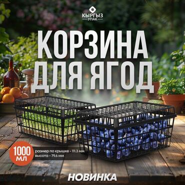 зимние салат: Корзина, Новый