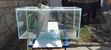 akvarium qiymətləri: Dördbucaq akvarium, Boş, 225 l, Ünvandan götürmə — 2