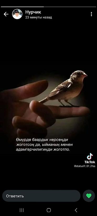 6 минут ежедневник бишкек: Саламатсыздарбы срочна озумо жумуш издейм. идиш жууганга,загатовкага — 2
