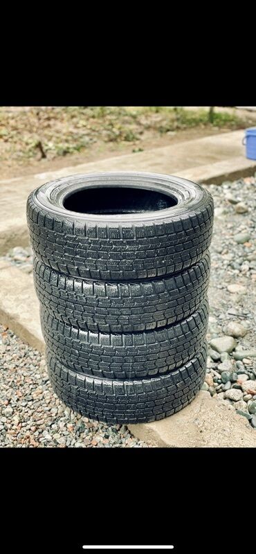 шина 16 ош: Шиналар 195 / 65 / R 15, Кыш, Комплект, Жеңил унаалар, Dunlop