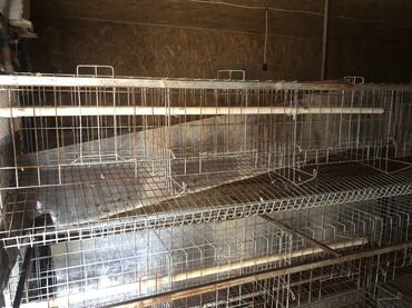 продам домик для кошки: Многоярусная проволочная клетка, предназначенная для содержания