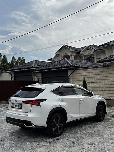 Lexus: Lexus NX: 2018 г., 2.5 л, Автомат, Гибрид, Кроссовер — 6