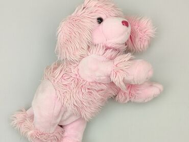 Mascot Dog, condition - Very good