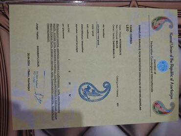 İtlər: Kane-Korso, 2 il, Erkek, Peyvəndli, Ünvandan götürmə — 8