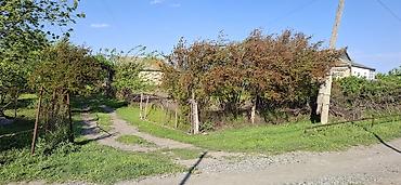 blue city ev satilir: 4 otaqlı, 3000 kv. m, Orta təmir — 6