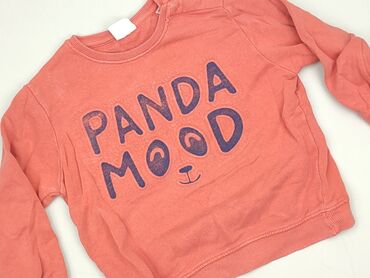 koszulka z psem: Sweatshirt, Zara, 3-4 years, 98-104 cm, condition - Very good