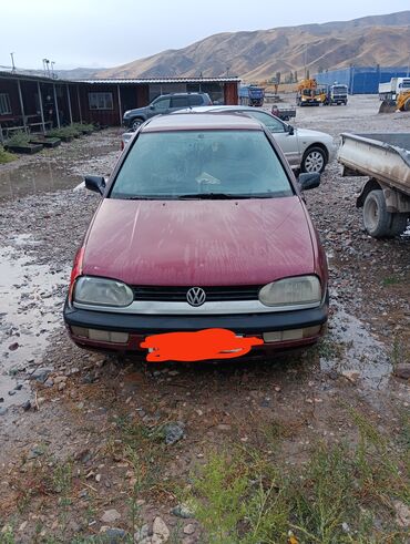 багаж гольф: Volkswagen Golf: 1992 г., 1.8 л, Механика, Бензин, Хэтчбэк