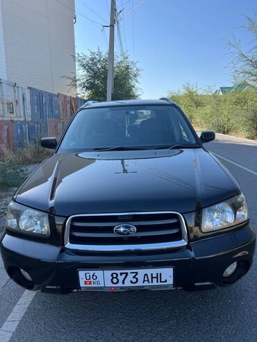 forester: Subaru Forester: 2003 г., 2 л, Автомат, Бензин, Универсал