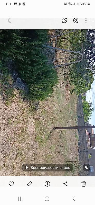 samaxida torpaq sahesi satilir: Satılır: həyətyanı torpaq sahəsi və yaşayış evi.bag sahesi Mir Movsum — 1
