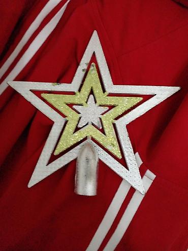отдам даром щенка: 100 с — 1