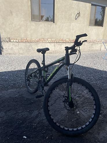 rox 01: Горный велосипед PHOENIX Cross - Рама: алюминиевая, геометрия для — 6
