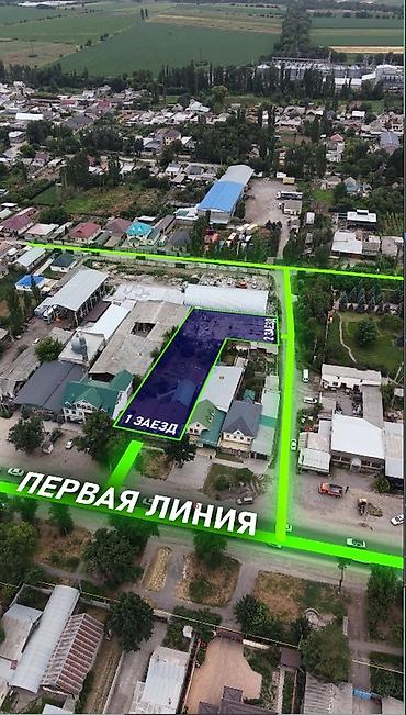 советской: 22 соток, Красная книга — 3