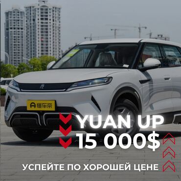 byd e5 2019 характеристики: BYD Yuan Up 2024 401km Vitality Edition на оформление под ключ есть