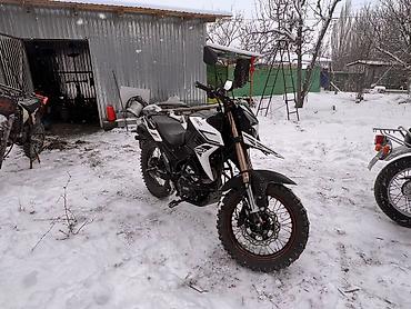 Мотоциклы: Все продаются Эндуро японец 2017 Хонда кастом оригинал японец 1998 — 2