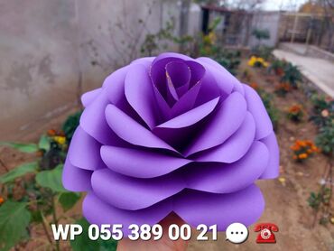 Digər ev dekoru: Sinif otağı, bağça,, məktəb, gözəllik salonu, mağaza vitrin, toy nişan — 18