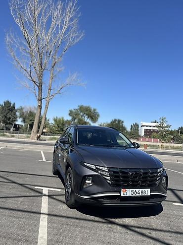 Транспорт: Hyundai Tucson: 2021 г., 2 л, Автомат, Дизель, Кроссовер — 2