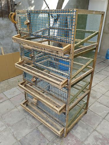 heyvan qəfəsi: Bildircin qefesi 4 mertebe olculer hundurluk 1.54 m. Eni 90sm Real — 2