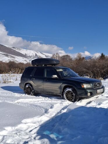 Subaru: Subaru Forester: 2003 г., 2.5 л, Автомат, Газ, Кроссовер