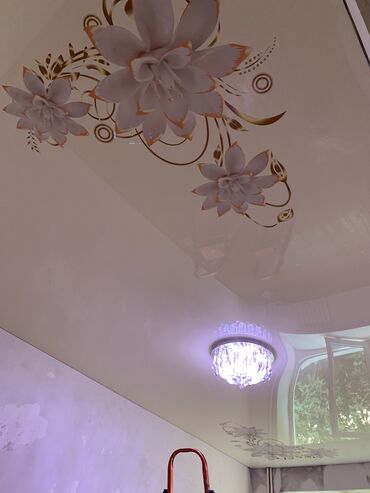 лампа потолочная: Натяжные потолки | Глянцевые, Матовые, 3D потолки Монтаж, Гарантия, Демонтаж