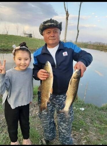 рыбалка гэс 5 бишкек в Кыргызстан | Үйлөрдү сатуу: Рыбалка! Рыбалка с друзьями и с семьей. Есть топчаны. Карта проезда