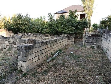 visnofkada torpaq: Tikinti — 7