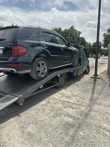 pirelli p zero: С лебедкой — 1
