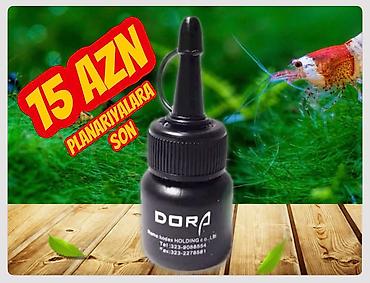 Filtrlər: Hamısı cəmi 43 AZN 1 ədəd Pastlanmaz şüşə silən 50 sm + üzərində 10 — 13