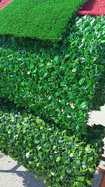 Toxumlar: Green_Line – Yaşıl Hasarda Lider Brend 📍 Bakı, Abşeron T/M, Prestij B
