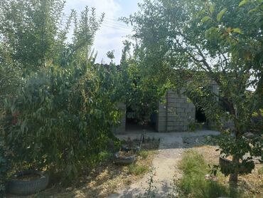 Продажа домов: Дом, 100 м², 5 комнат, Собственник, Косметический ремонт — 10