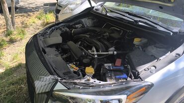 Subaru: Subaru Crosstrek: 2017 г., 2 л, Вариатор, Бензин, Кроссовер — 8