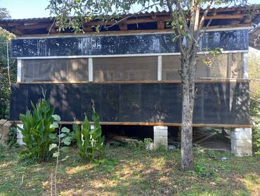 Bağ evlərinin satışı: Qax, 55 kv. m, 1 otaqlı, Qaz, İşıq, Su — 1