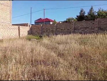 Torpaq sahələrinin satışı: 3 sot, Mülkiyyətçi, Kupça (Çıxarış) — 6