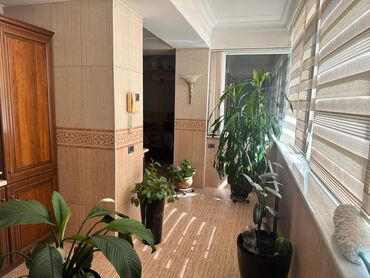 Köhnə tikili: Bakı, 6 otaqlı, Köhnə tikili, m. İçərişəhər, 200 kv. m — 3